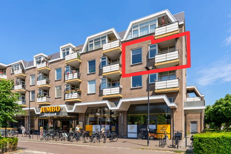 Rozemarijn thumbnail