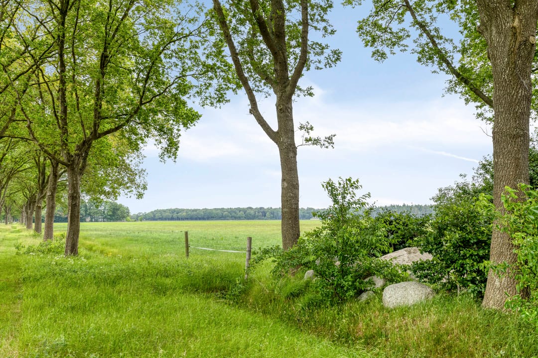 Photo 47 of Drentseweg 3