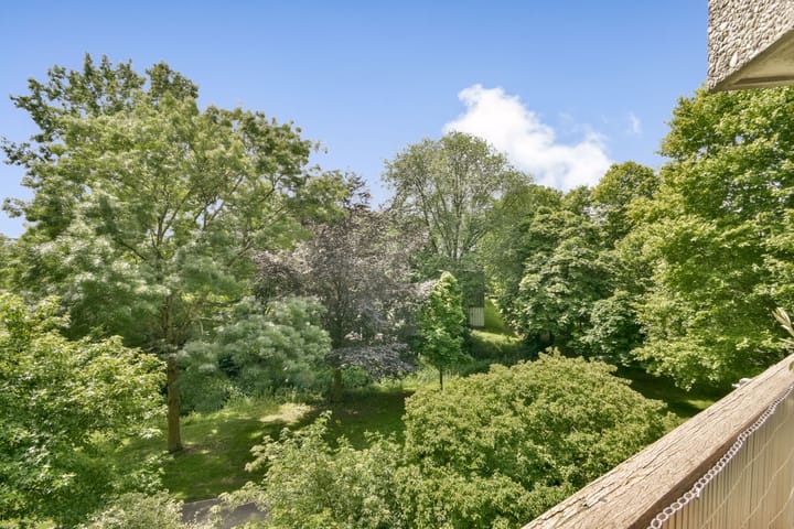 Foto 4 van Groenhoven 221