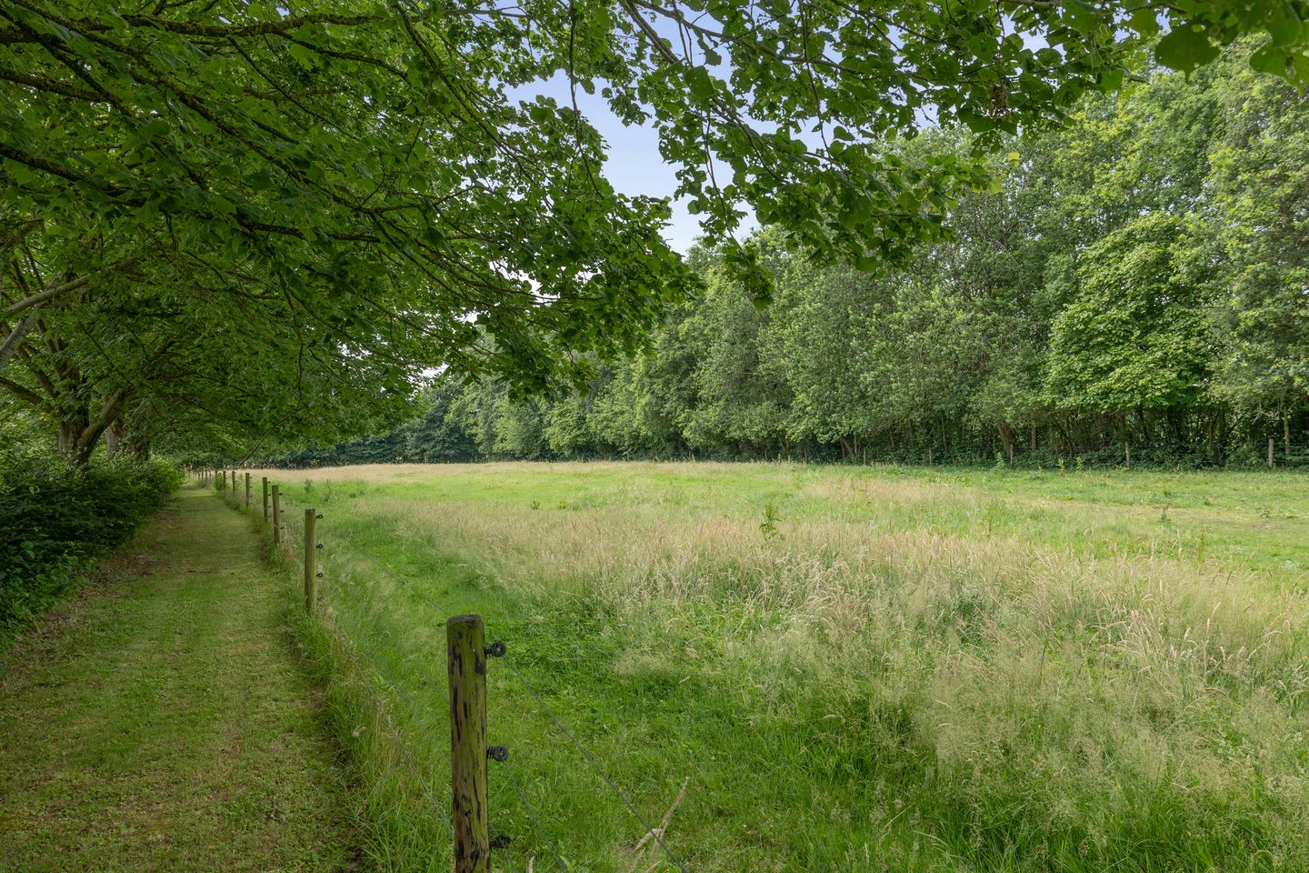 Photo 5 of Mepperstraat 40