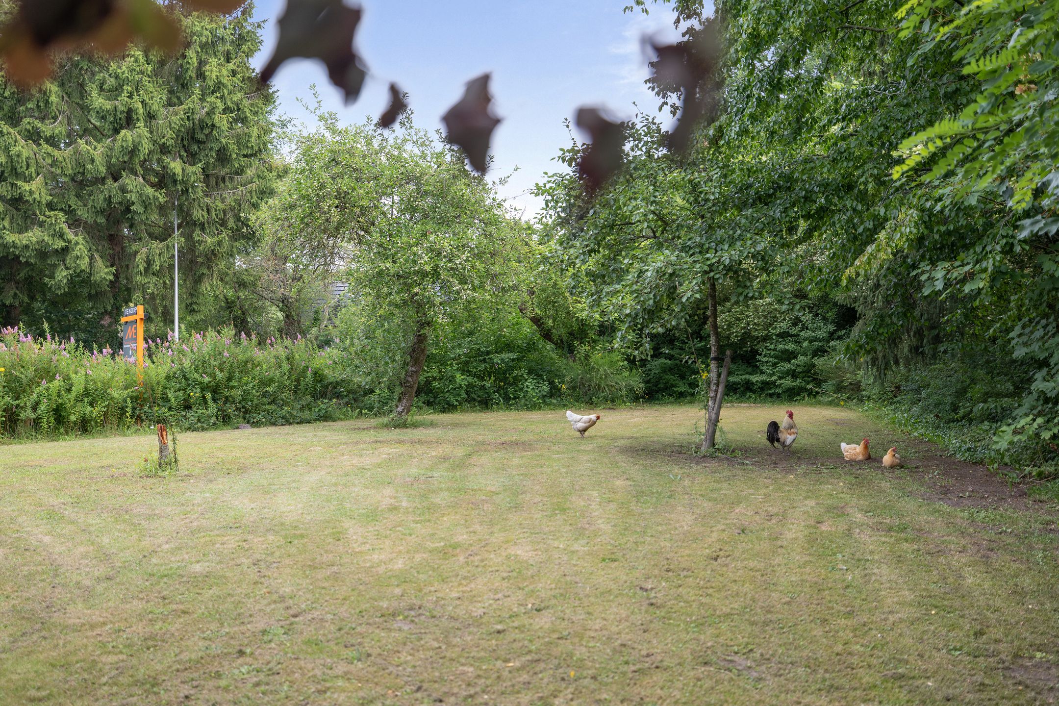 Photo 12 of Mepperstraat 40