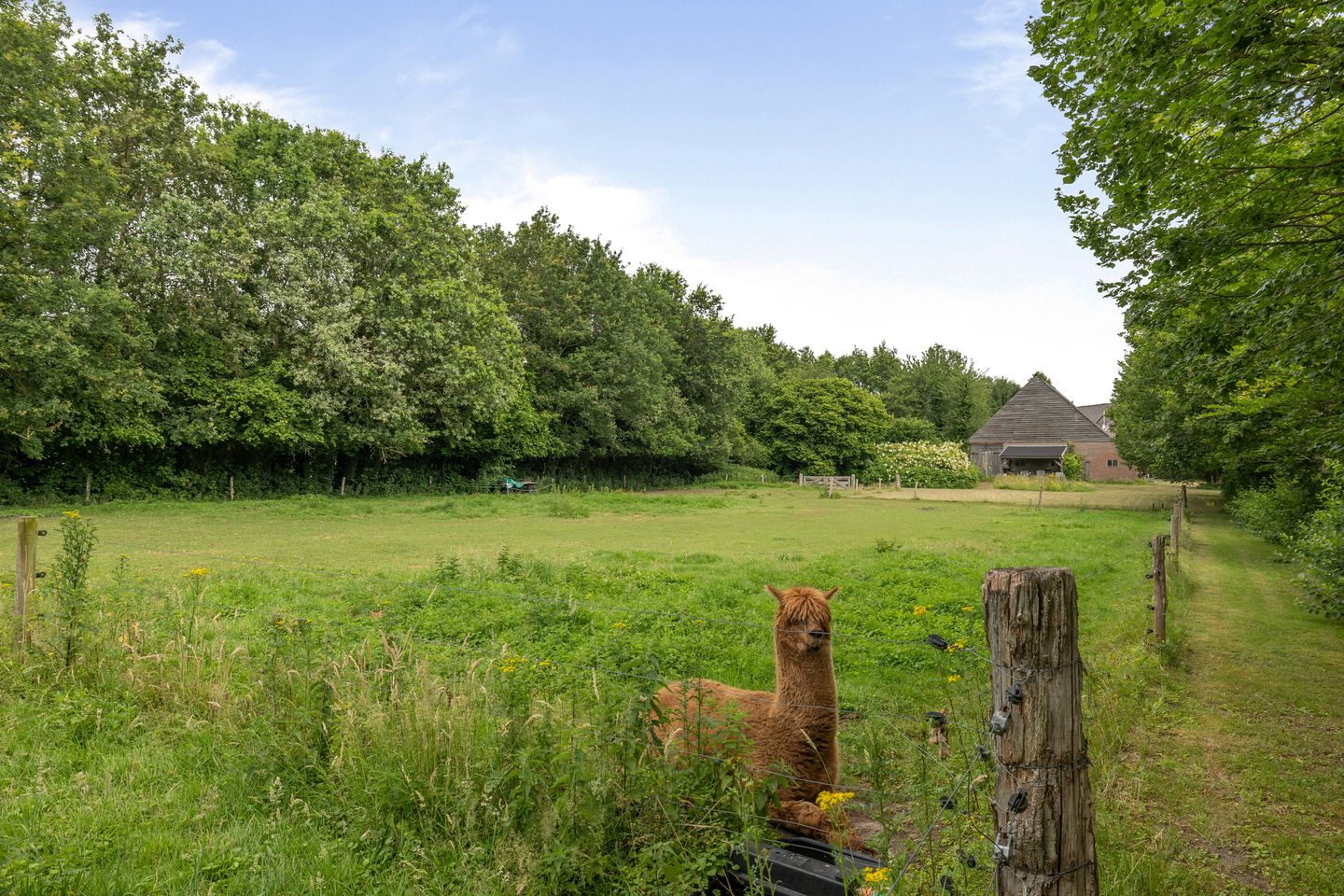 Photo 65 of Mepperstraat 40