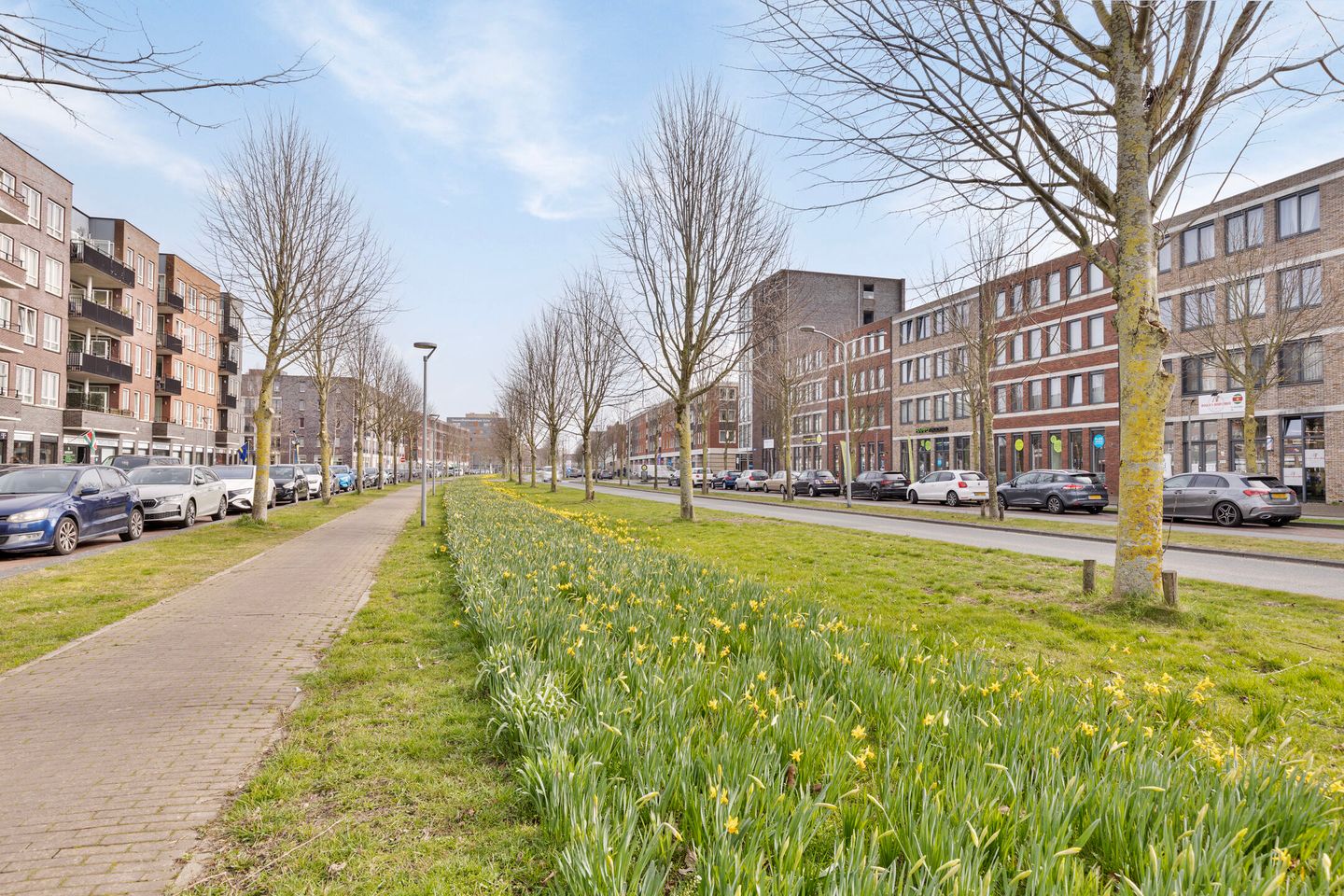 Photo 40 of Nederlandstraat 31