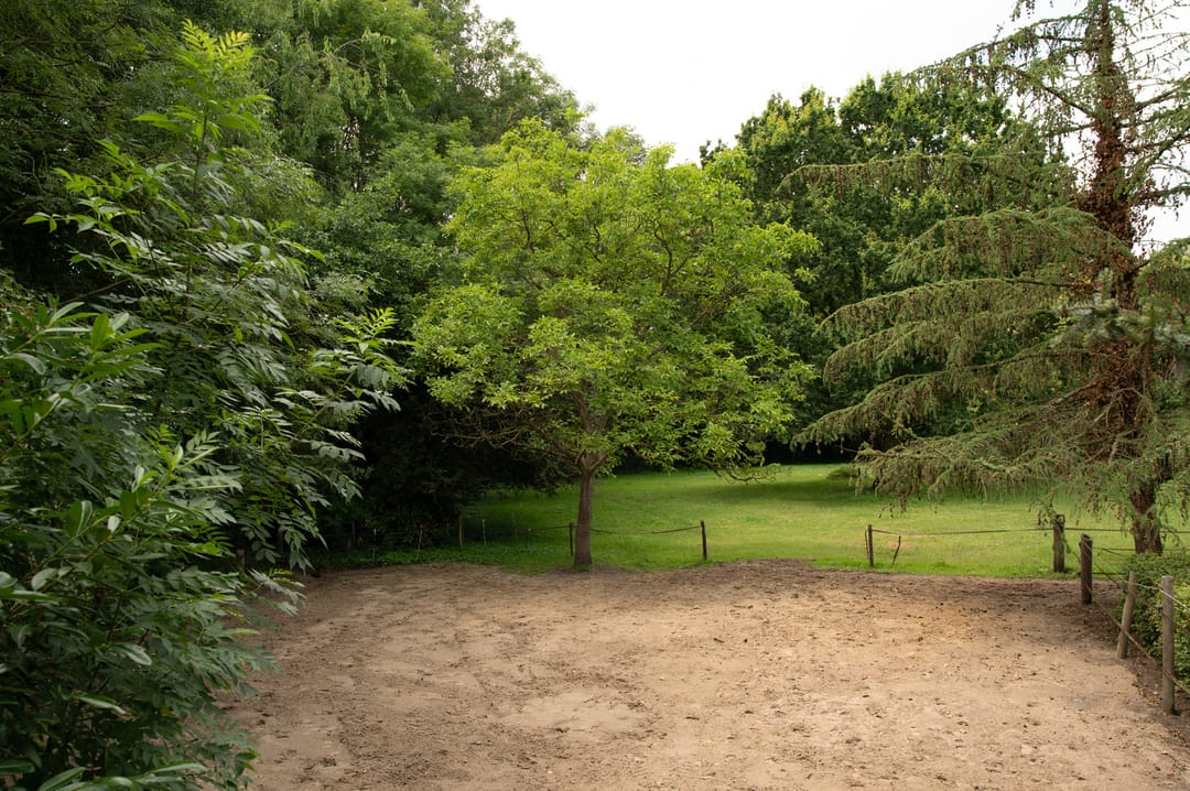 Foto 101 van Vurenboomweg 6-A
