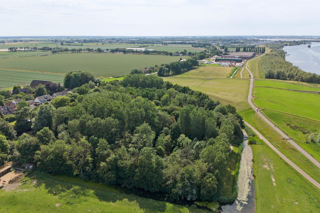 Photo 38 of Wilhelminastraat 1-A