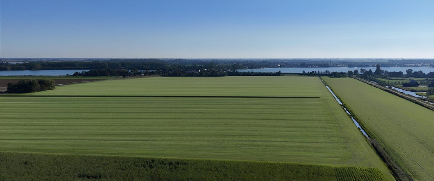Vriezenweg - Ter Aar - Afbeelding 4
