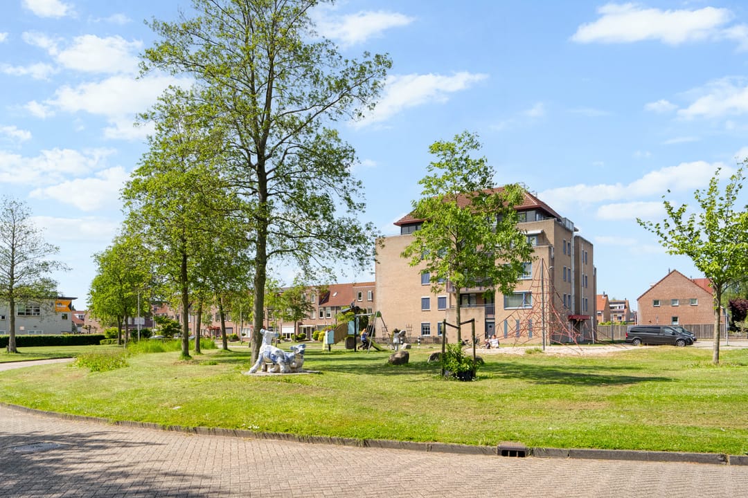 Foto 46 van Kievitsbloem 64