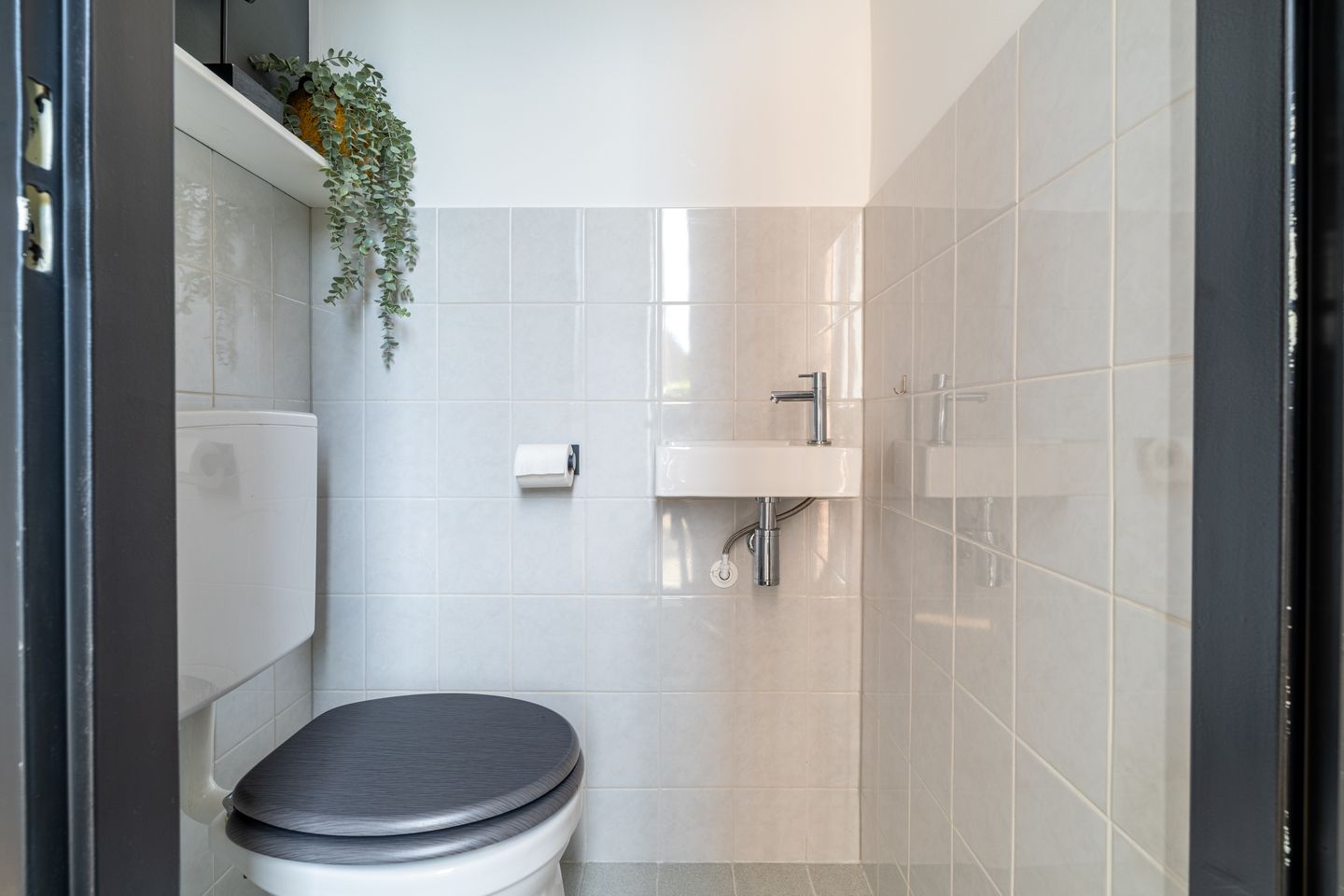 Foto 5 van Lijster 24