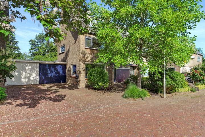 Foto 4 van Schutskooi 3
