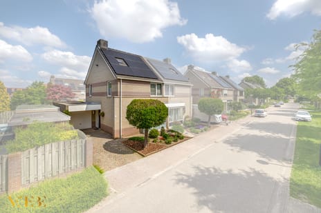 Pelikaanstraat thumbnail