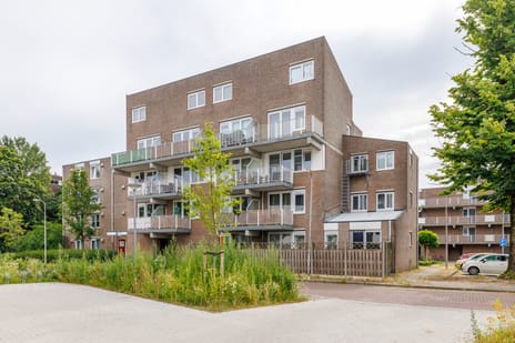 Trijpstraat thumbnail
