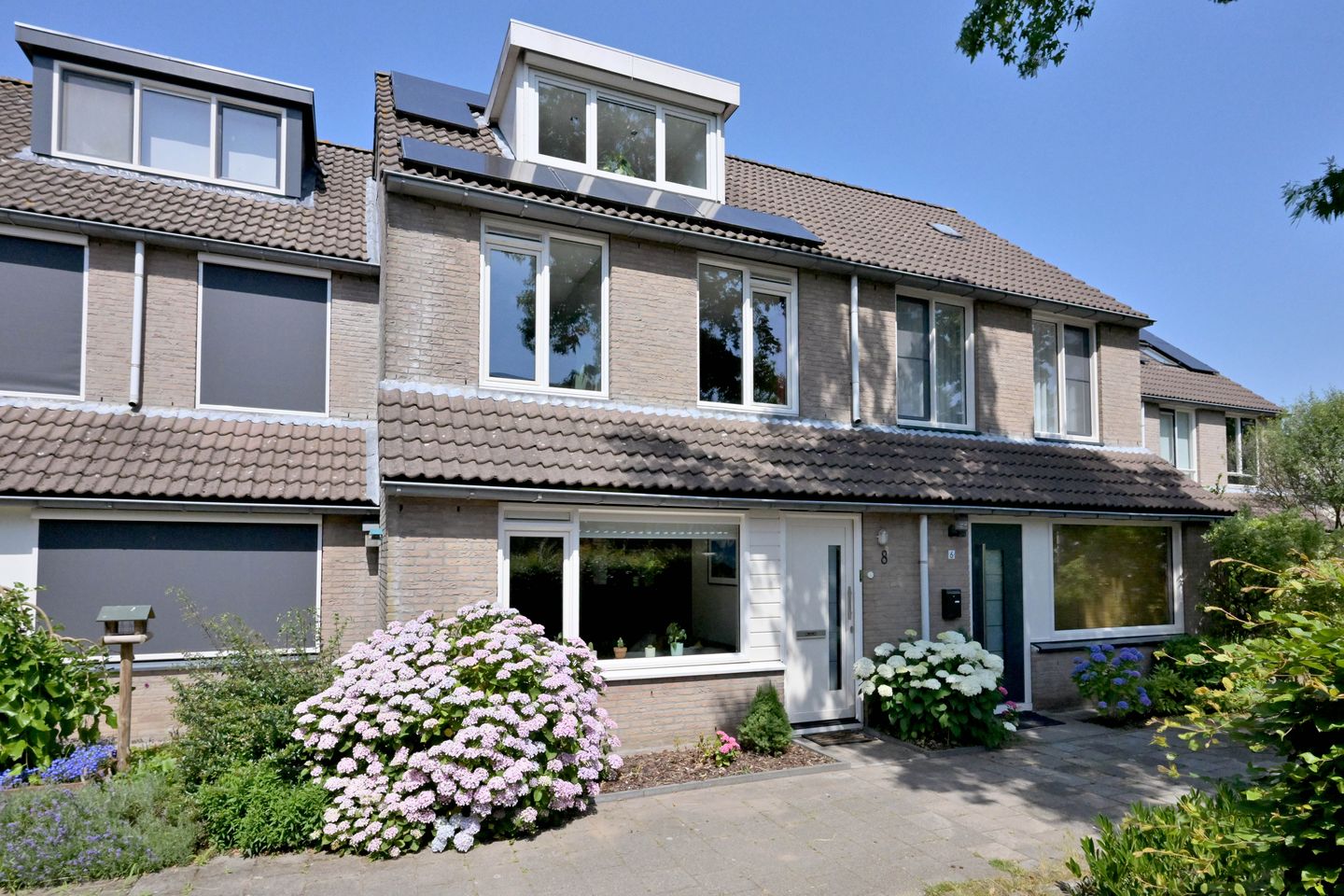 Foto 1 van Peterspad 8