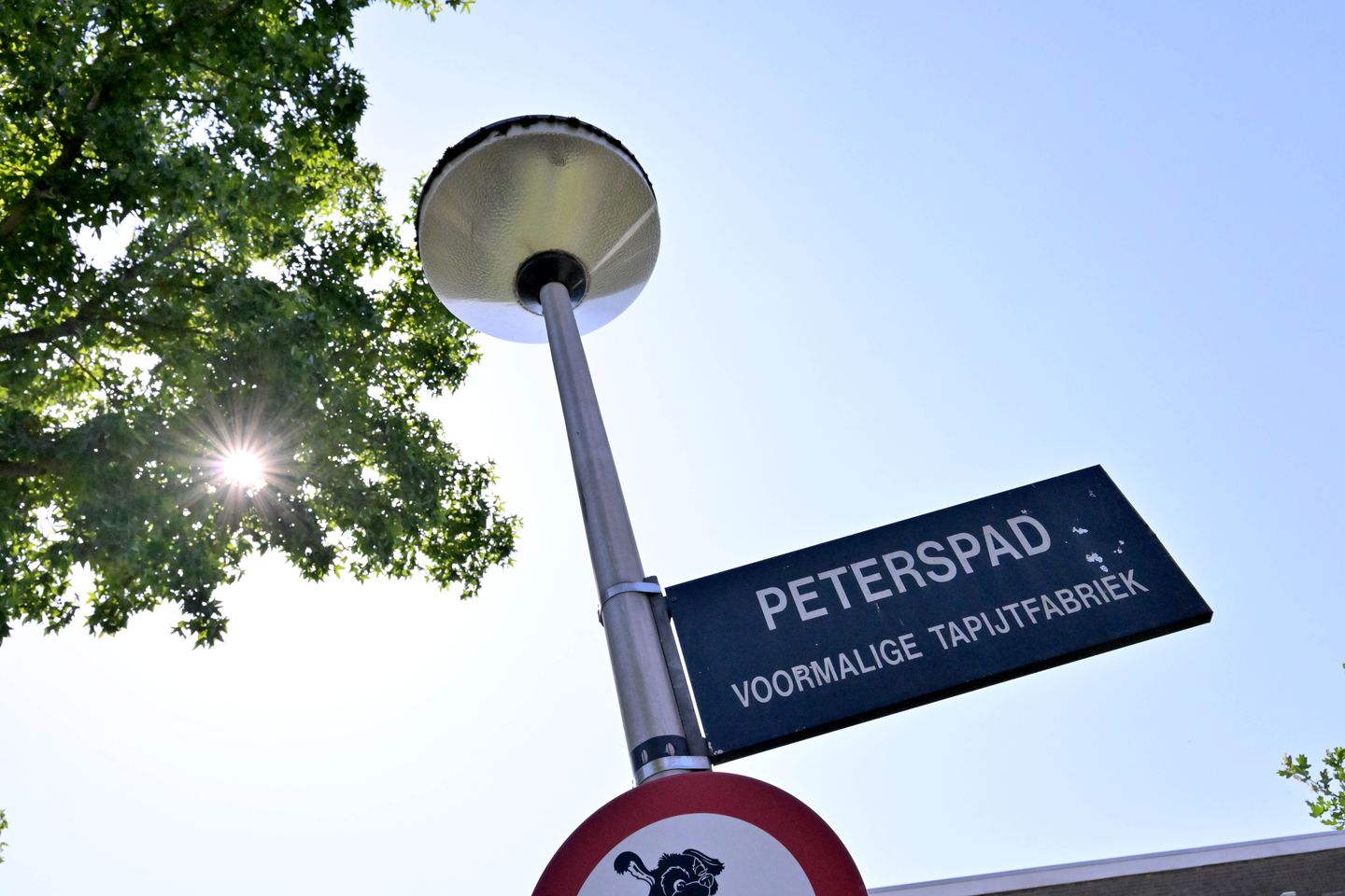 Foto 35 van Peterspad 8