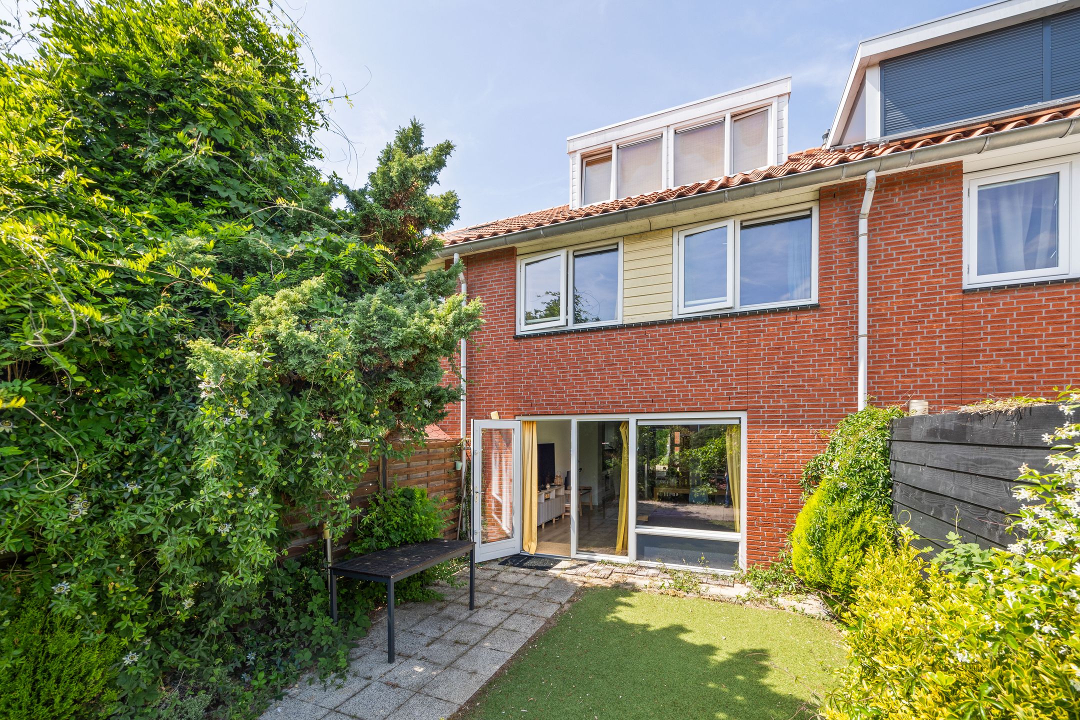 Photo 18 of Blauw Glidkruid 42
