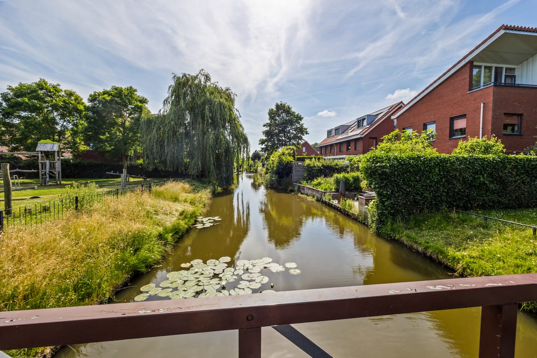 Photo 38 of Blauw Glidkruid 42