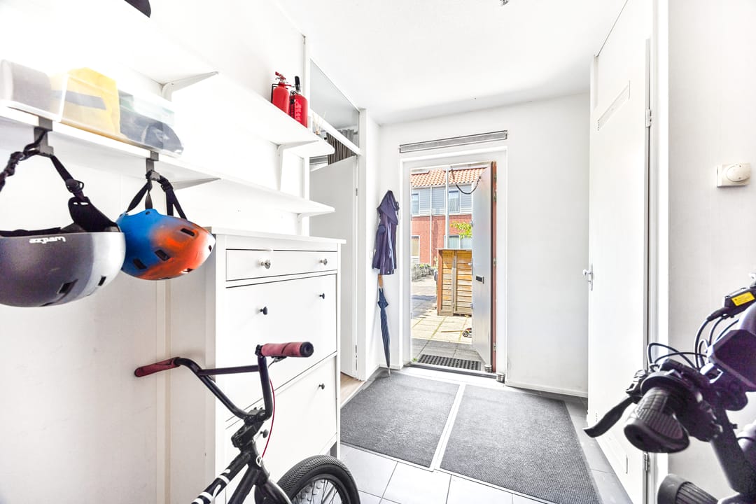 Photo 7 of Blauw Glidkruid 42