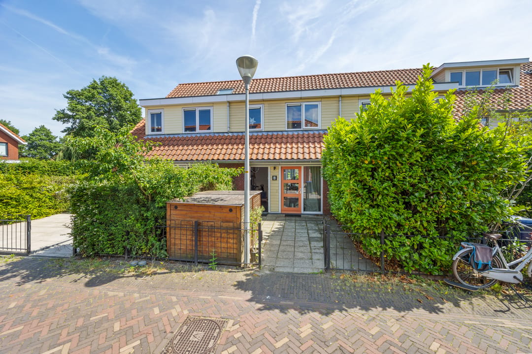 Photo 1 of Blauw Glidkruid 42