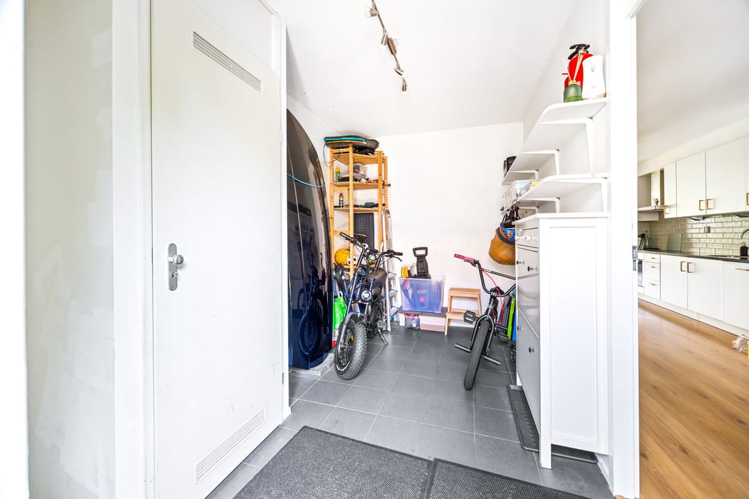 Photo 8 of Blauw Glidkruid 42