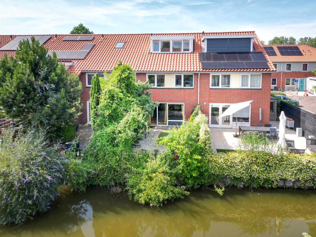 Photo 41 of Blauw Glidkruid 42