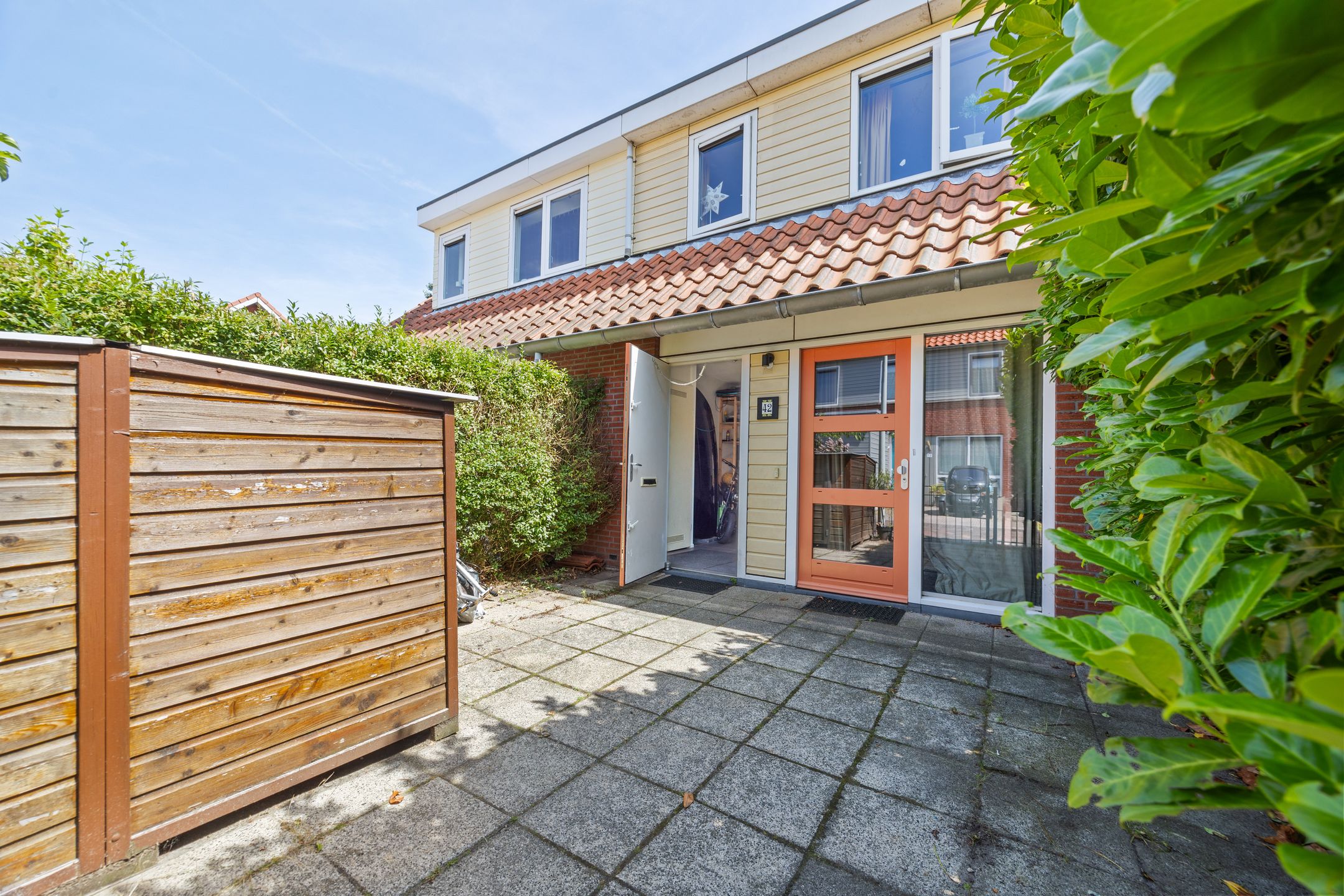 Photo 6 of Blauw Glidkruid 42