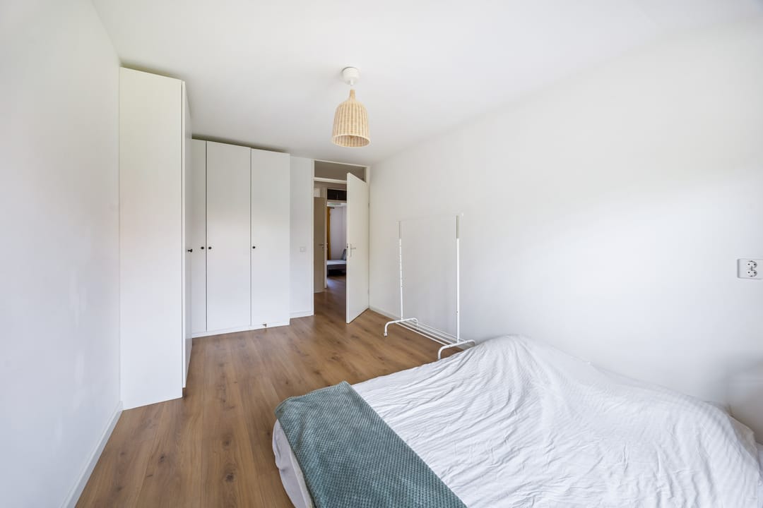 Photo 23 of Blauw Glidkruid 42