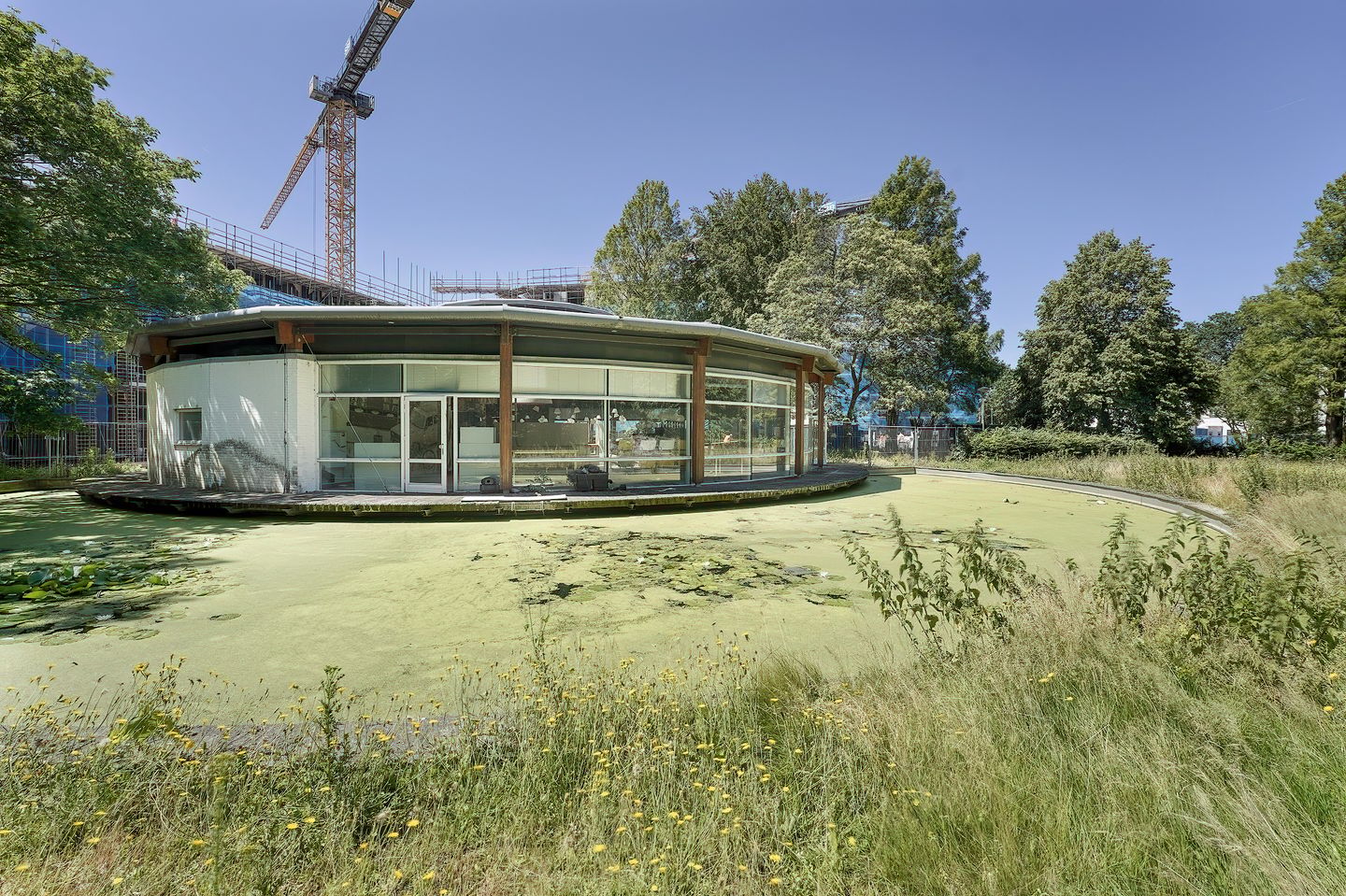 Bekijk foto 1 van Goohorstlaan 8