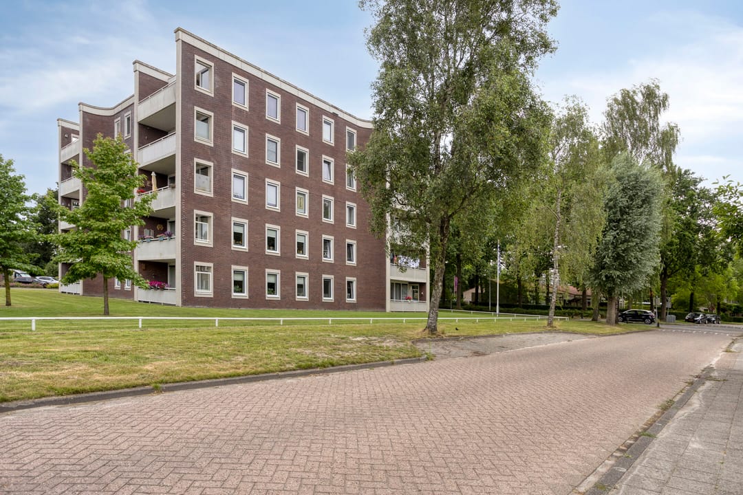 Foto 41 van De Amberbeam 24