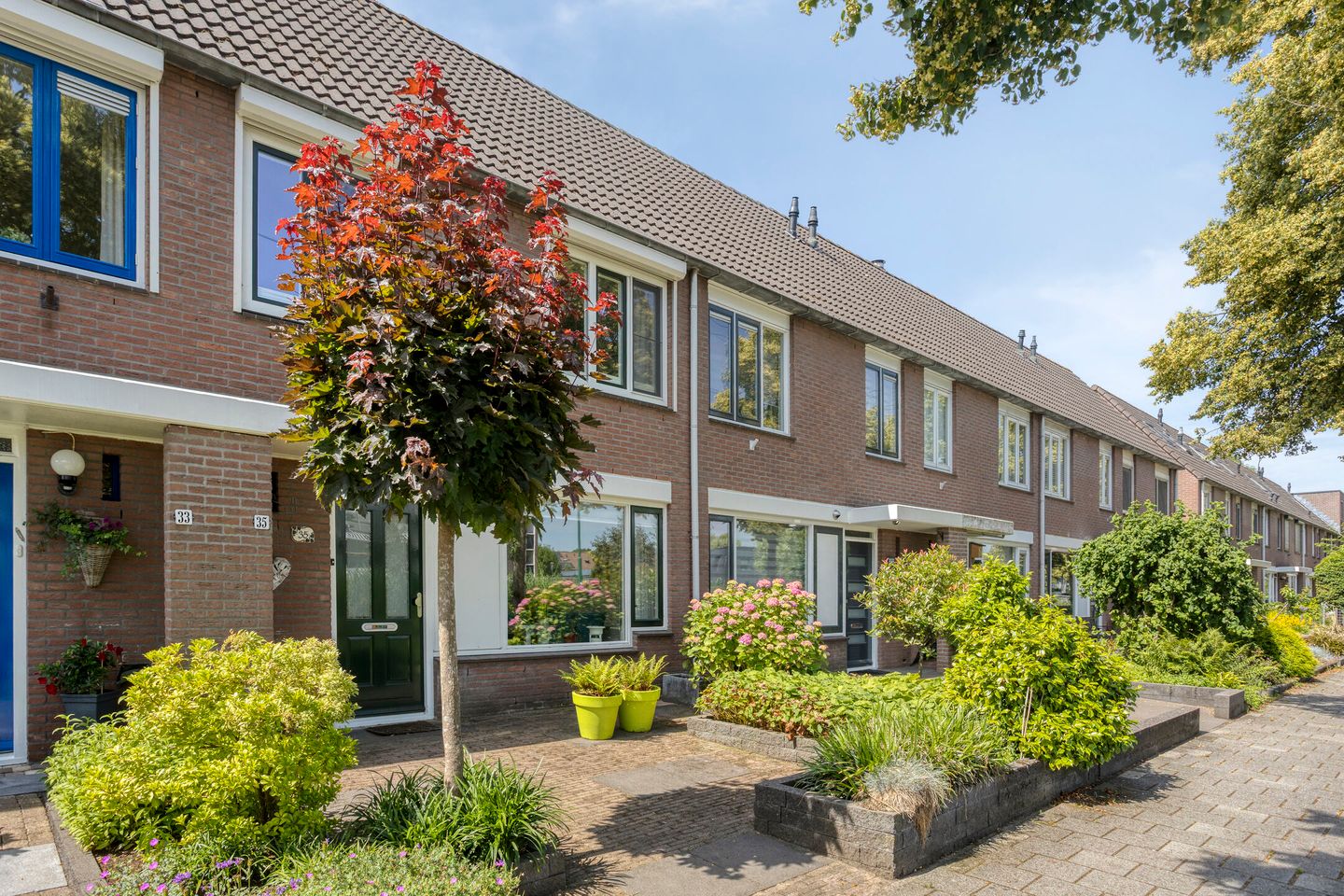 Foto 4 van Goudvink 35