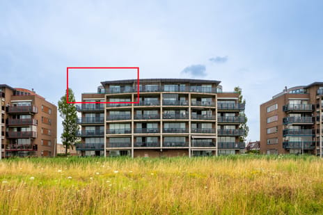 Selma Lagerlöfstraat thumbnail