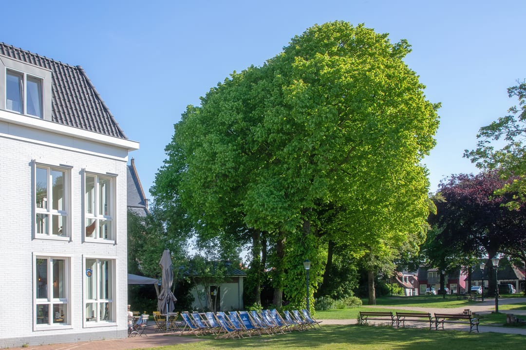 Foto 7 van Groeneplaats 2