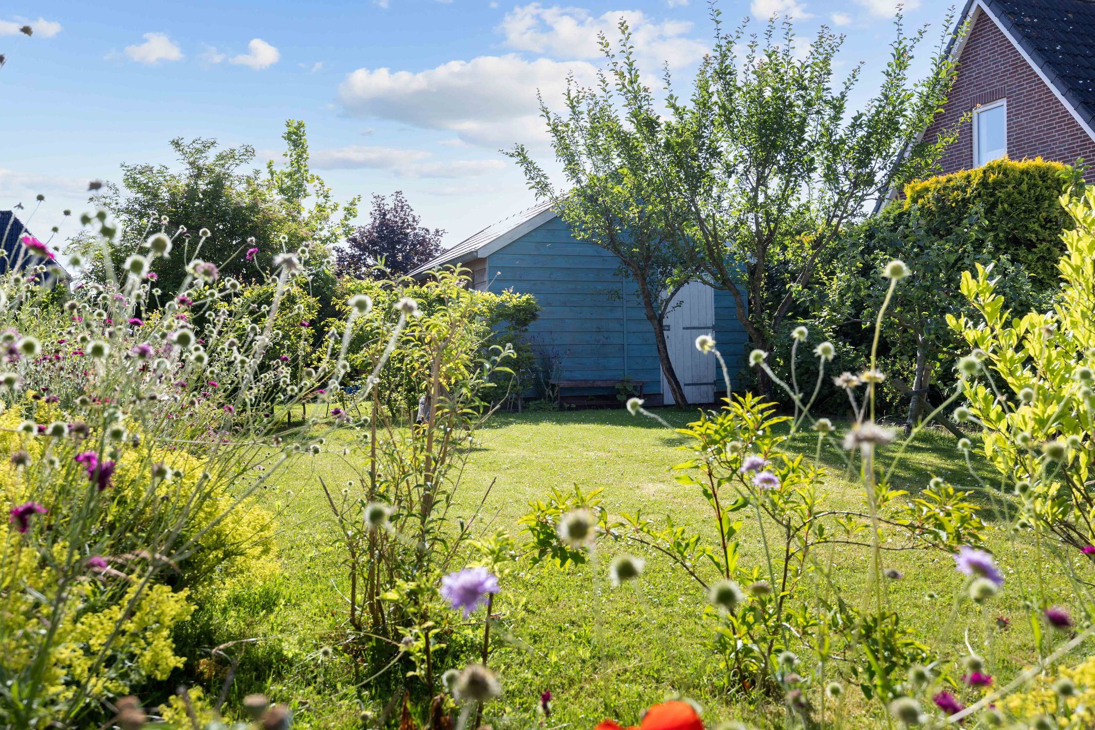 Photo 36 of Lemkesland 53