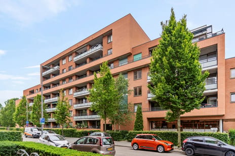 Zanglijsterstraat thumbnail