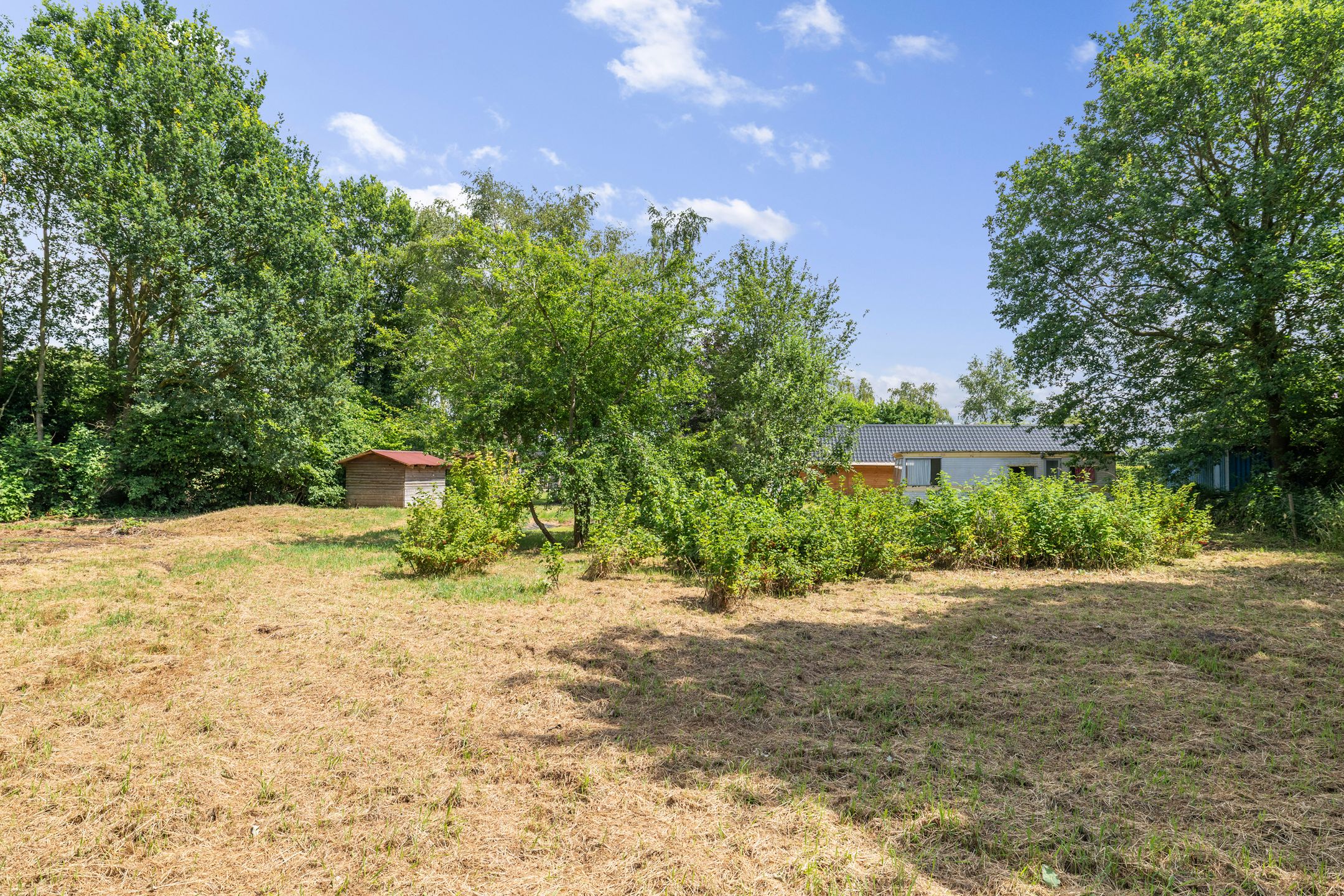 Photo 60 of Nieuwe Krim 41