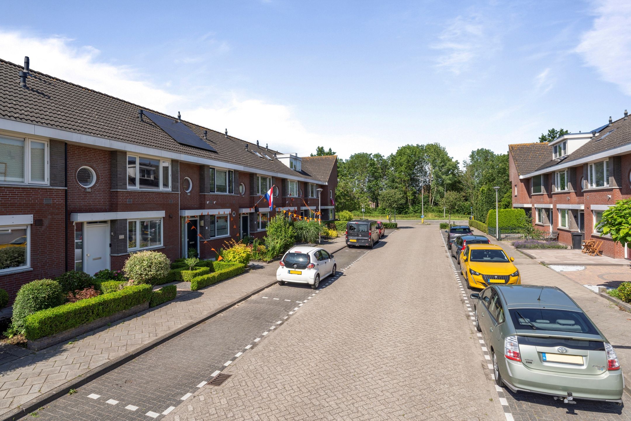 Foto 48 van Kroeten 11