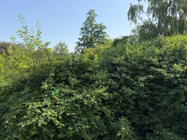 Foto 5 van Chopinlaan 38