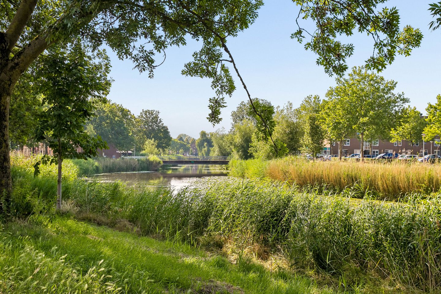 Photo 49 of Oldewierde 270