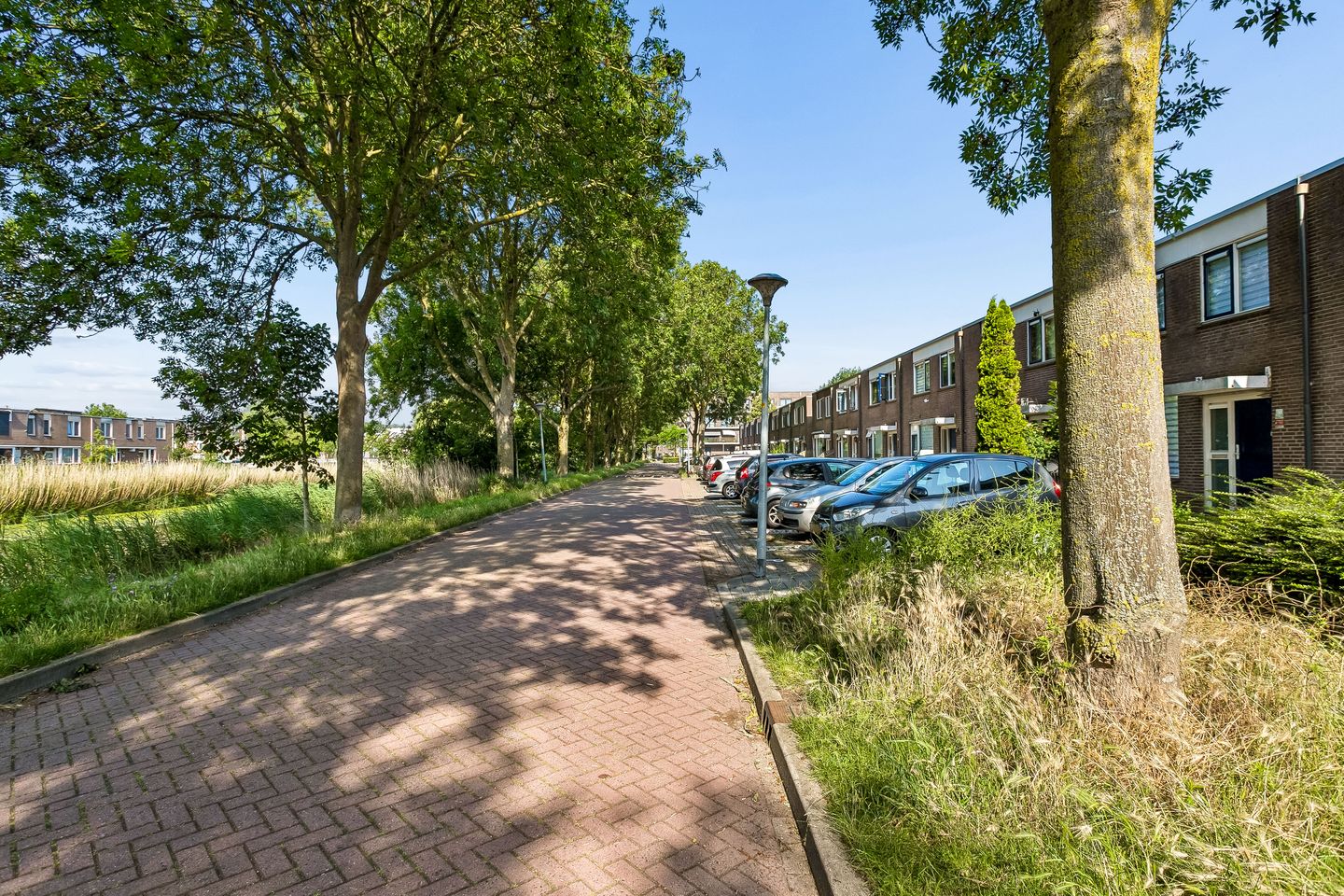 Photo 35 of Oldewierde 270