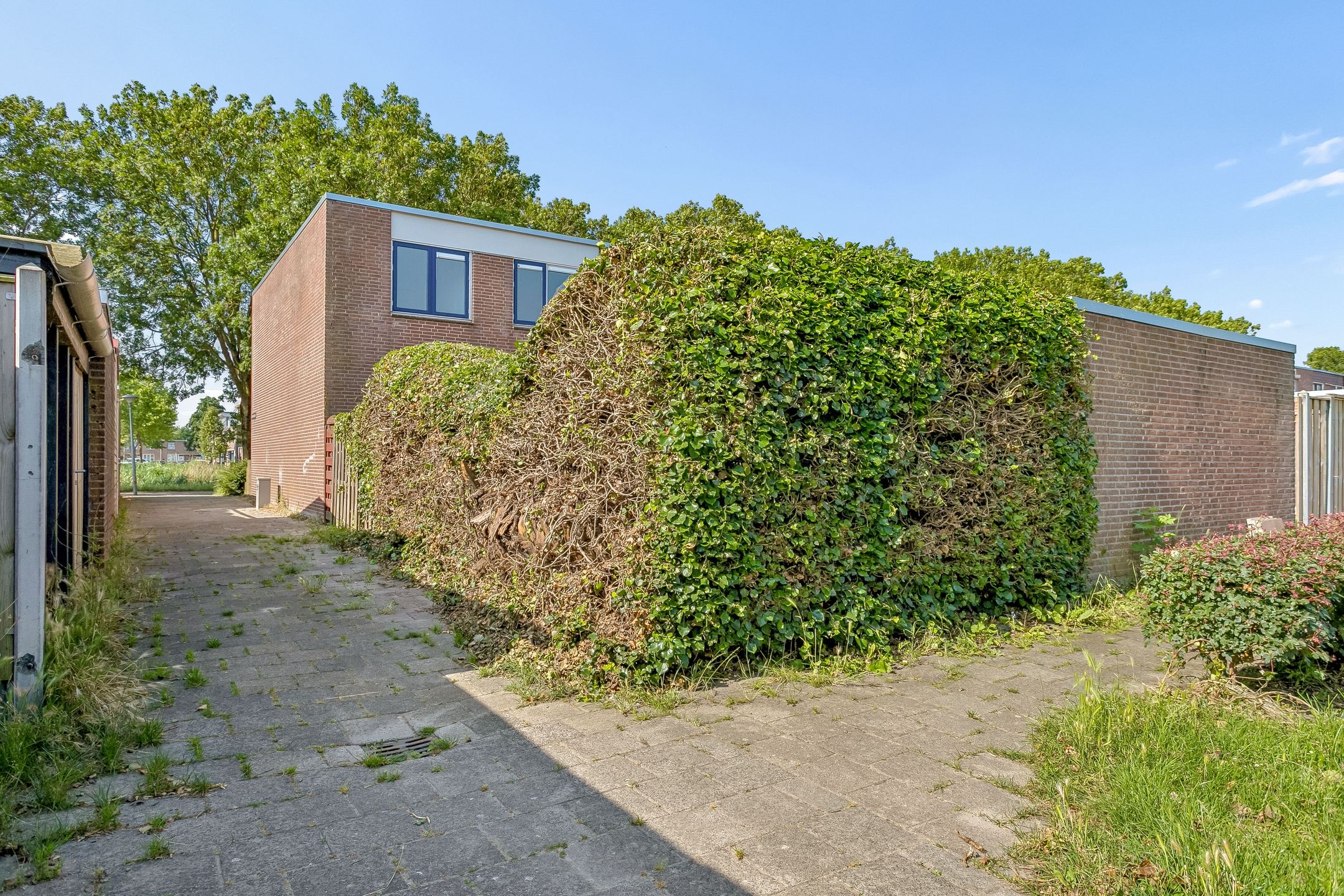 Photo 39 of Oldewierde 270