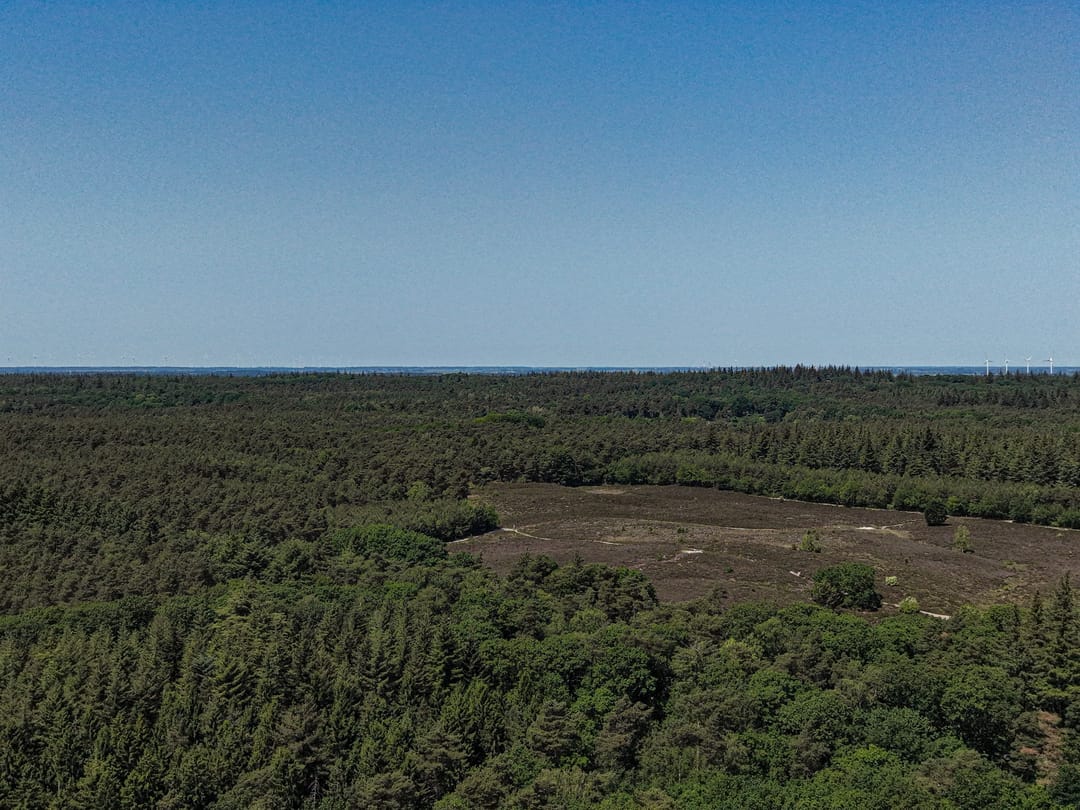 Photo 47 of Wapenvelder Zand 13