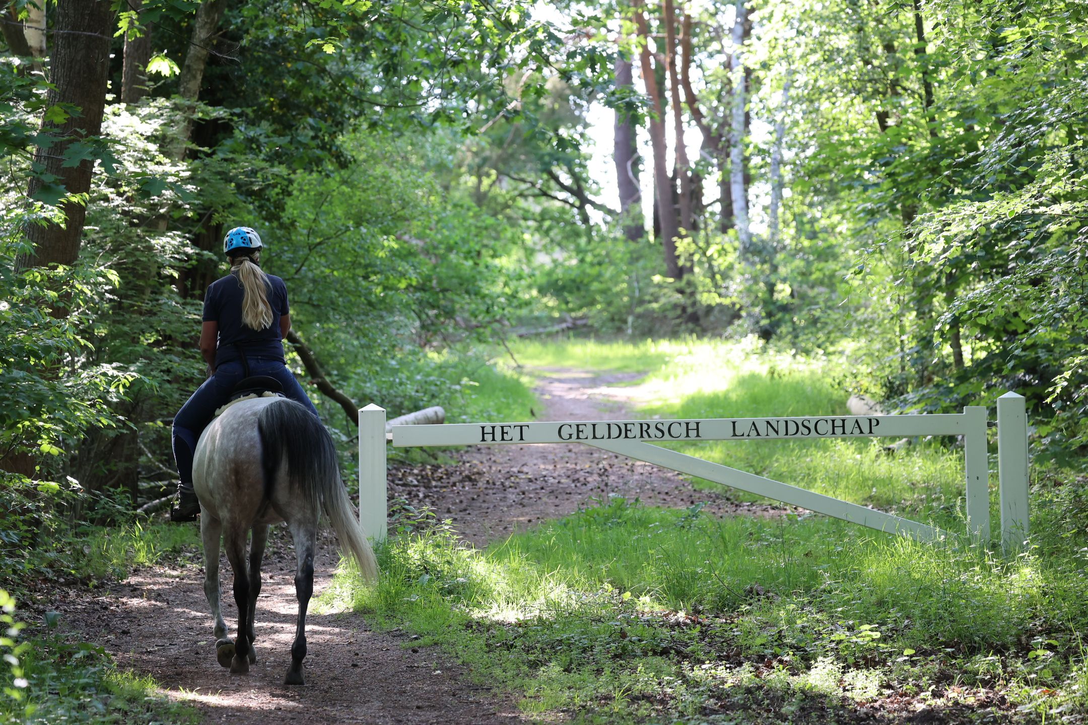 Photo 6 of Wapenvelder Zand 13