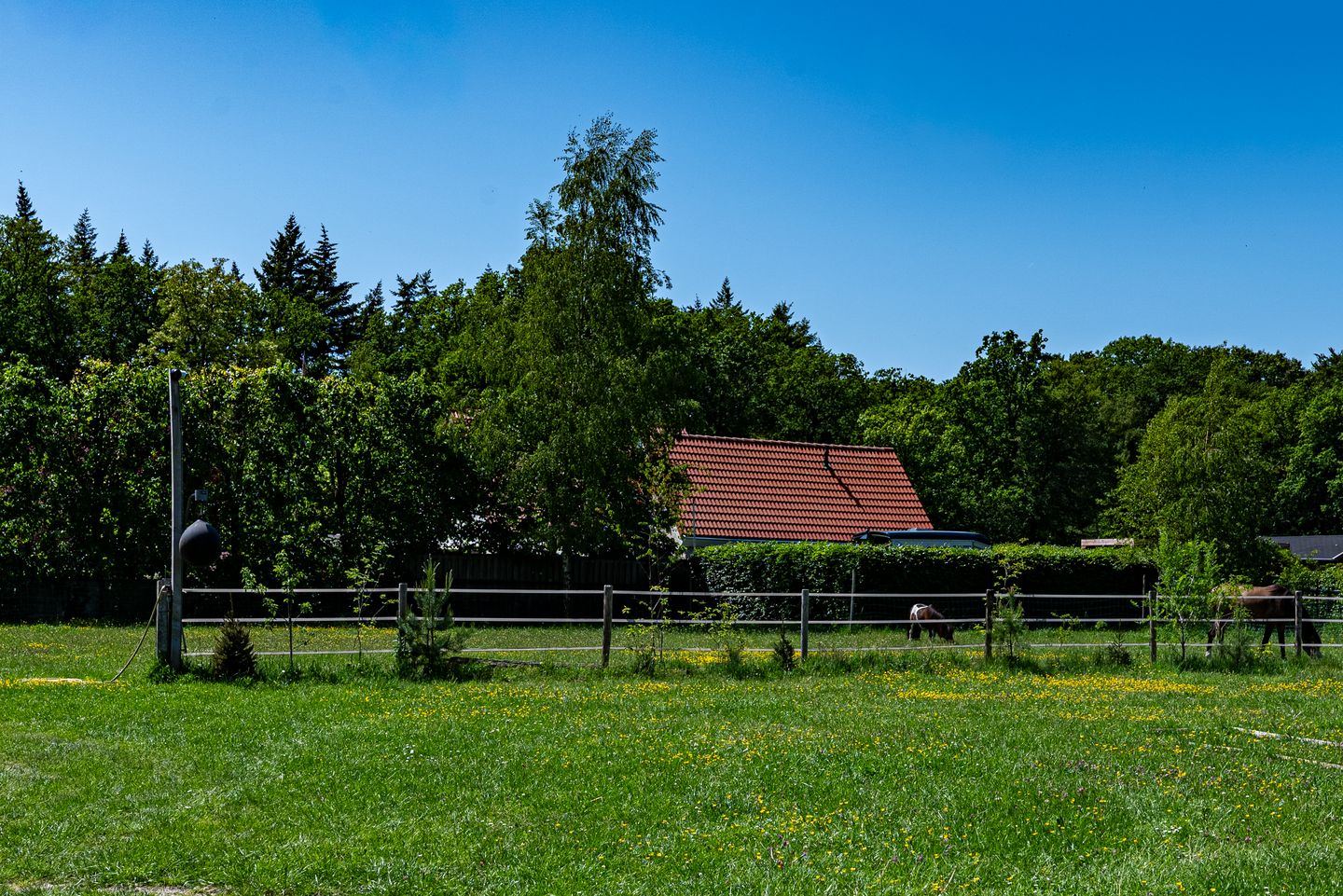 Photo 5 of Wapenvelder Zand 13