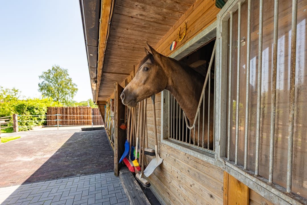 Photo 41 of Wapenvelder Zand 13