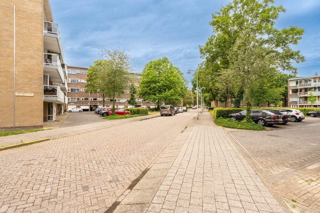 Foto 43 van Julianaplantsoen 198