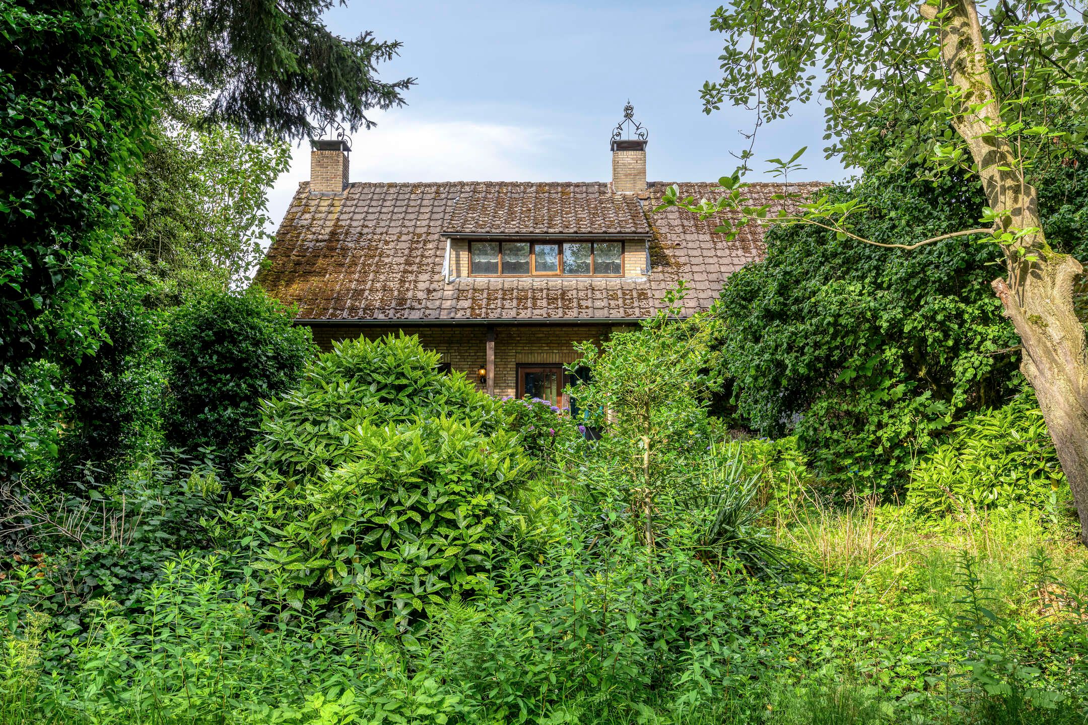 Besselaar 4 