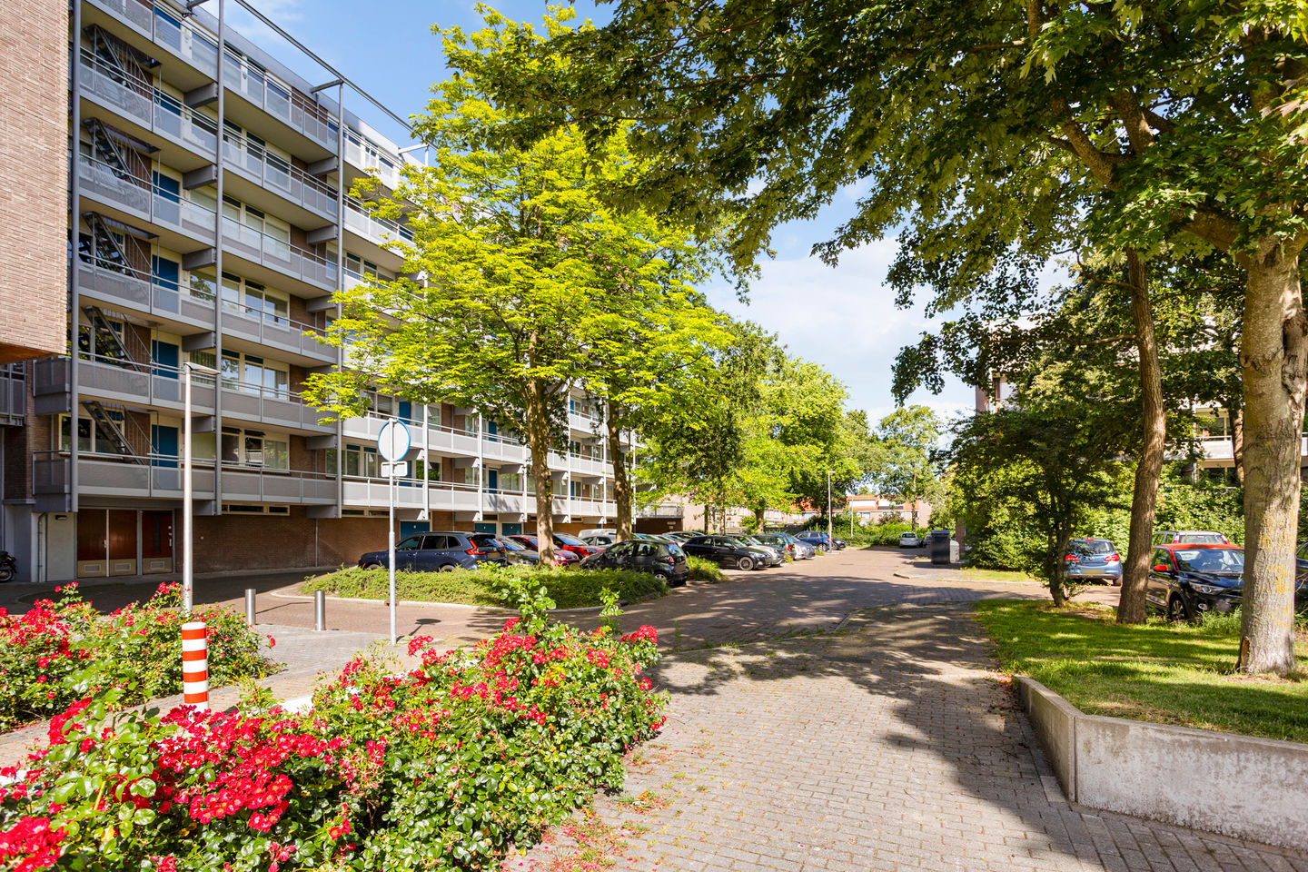 Photo 29 of Koolmeesstraat 66