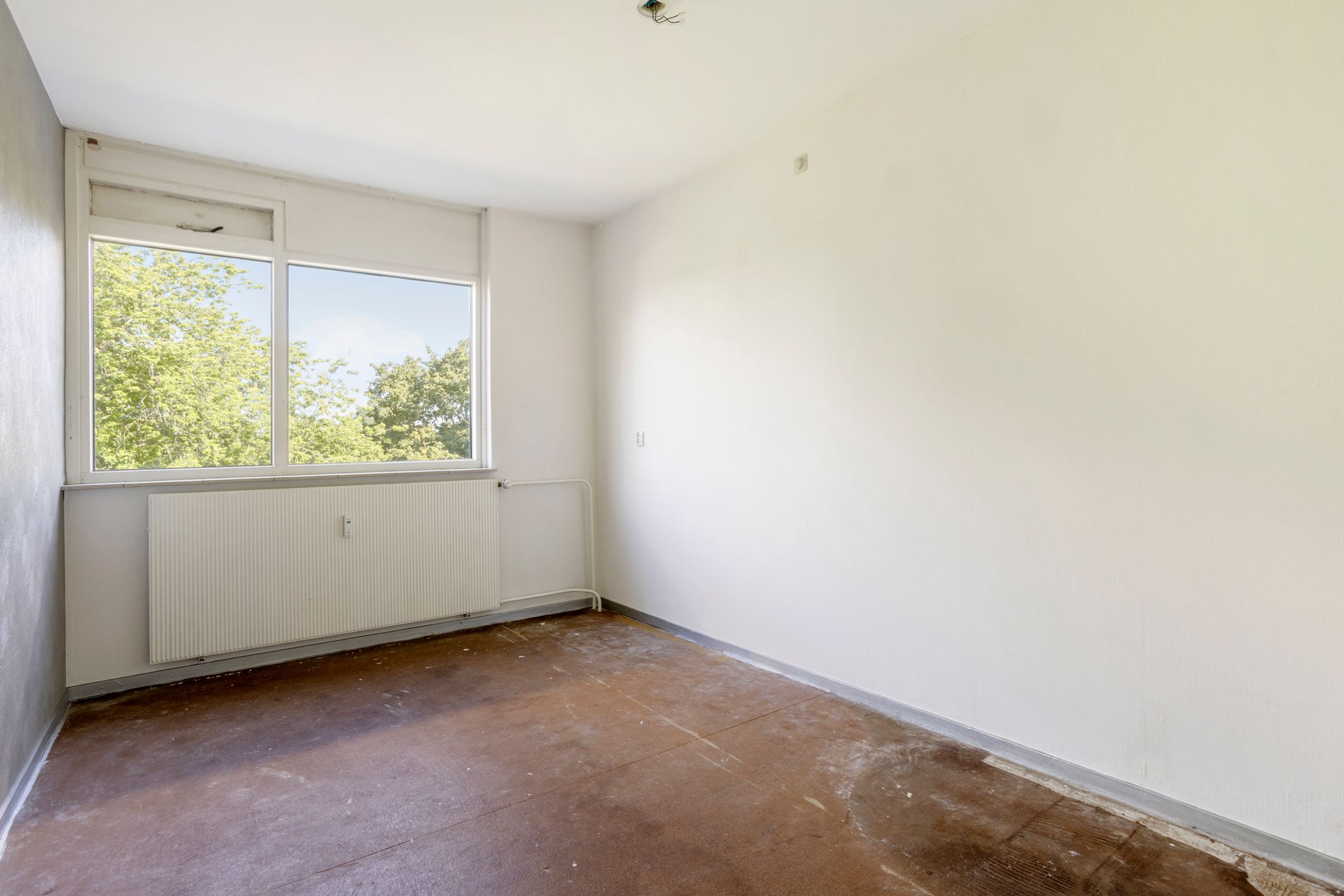 Photo 15 of Koolmeesstraat 66