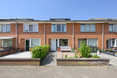Blauwdasstraat thumbnail