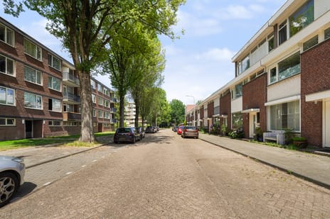 Mangrovestraat thumbnail