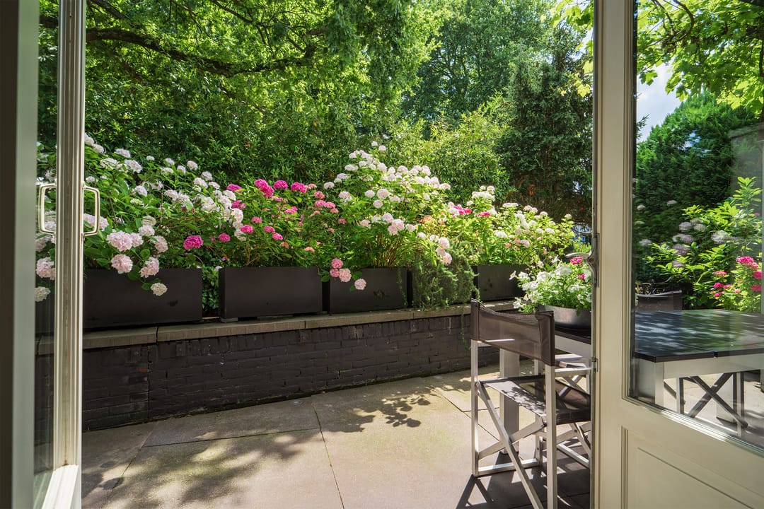 Photo 61 of Ruijsdaelplein 4