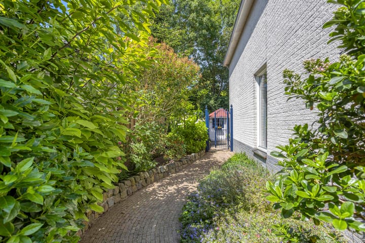 Foto 4 van Reaal 159
